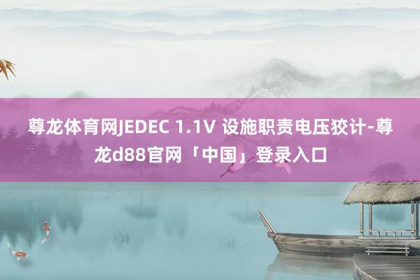 尊龙体育网JEDEC 1.1V 设施职责电压狡计-尊龙d88官网「中国」登录入口