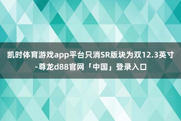 凯时体育游戏app平台只消SR版块为双12.3英寸-尊龙d88官网「中国」登录入口