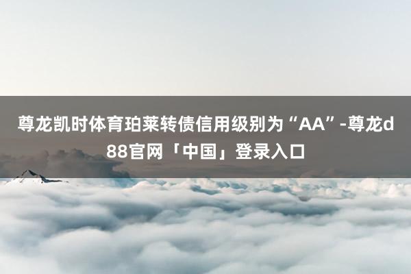 尊龙凯时体育珀莱转债信用级别为“AA”-尊龙d88官网「中国」登录入口