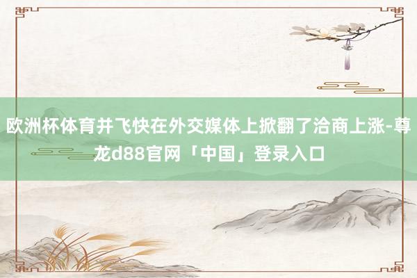 欧洲杯体育并飞快在外交媒体上掀翻了洽商上涨-尊龙d88官网「中国」登录入口