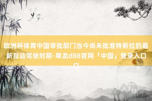欧洲杯体育中国审批部门当今尚未批准特斯拉的最新自动驾驶时期-尊龙d88官网「中国」登录入口
