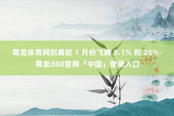尊龙体育网别离较 1 月份飞腾 9.1% 和 26%-尊龙d88官网「中国」登录入口