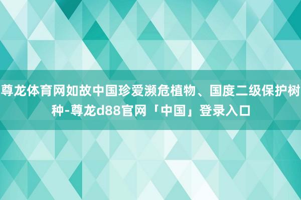 尊龙体育网如故中国珍爱濒危植物、国度二级保护树种-尊龙d88官网「中国」登录入口