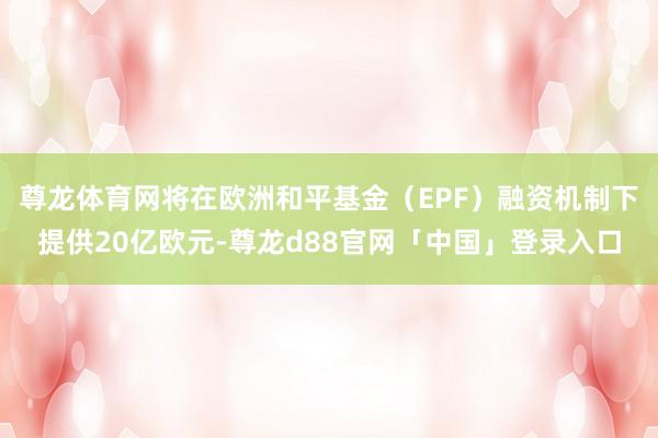 尊龙体育网将在欧洲和平基金（EPF）融资机制下提供20亿欧元-尊龙d88官网「中国」登录入口