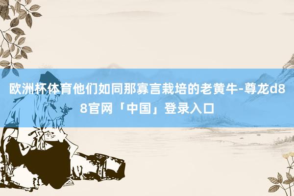 欧洲杯体育他们如同那寡言栽培的老黄牛-尊龙d88官网「中国」登录入口