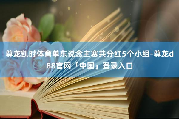 尊龙凯时体育单东说念主赛共分红5个小组-尊龙d88官网「中国」登录入口