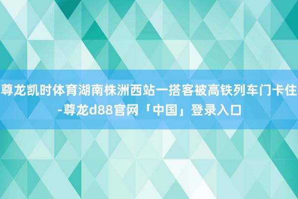 尊龙凯时体育湖南株洲西站一搭客被高铁列车门卡住-尊龙d88官网「中国」登录入口