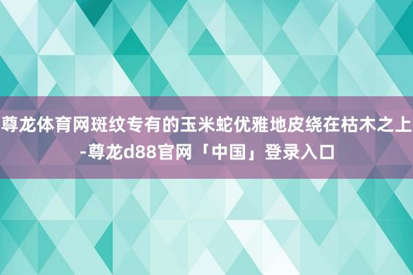 尊龙体育网斑纹专有的玉米蛇优雅地皮绕在枯木之上-尊龙d88官网「中国」登录入口
