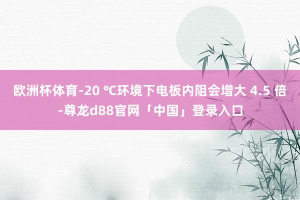 欧洲杯体育-20 ℃环境下电板内阻会增大 4.5 倍-尊龙d88官网「中国」登录入口