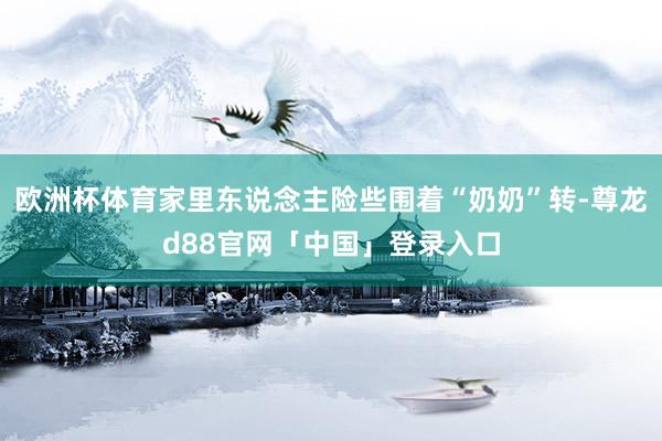 欧洲杯体育家里东说念主险些围着“奶奶”转-尊龙d88官网「中国」登录入口