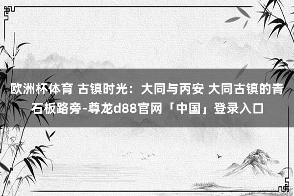 欧洲杯体育 古镇时光：大同与丙安 大同古镇的青石板路旁-尊龙d88官网「中国」登录入口