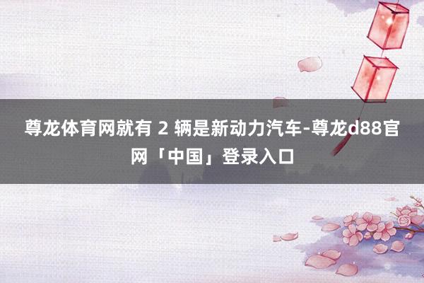 尊龙体育网就有 2 辆是新动力汽车-尊龙d88官网「中国」登录入口