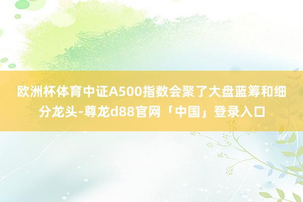 欧洲杯体育　　中证A500指数会聚了大盘蓝筹和细分龙头-尊龙d88官网「中国」登录入口