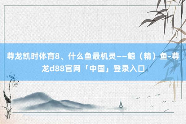 尊龙凯时体育8、什么鱼最机灵——鲸（精）鱼-尊龙d88官网「中国」登录入口