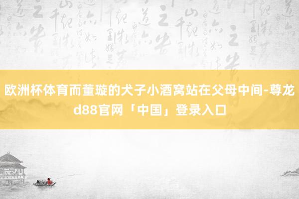 欧洲杯体育而董璇的犬子小酒窝站在父母中间-尊龙d88官网「中国」登录入口