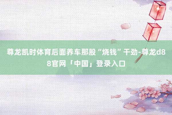 尊龙凯时体育后面养车那股“烧钱”干劲-尊龙d88官网「中国」登录入口