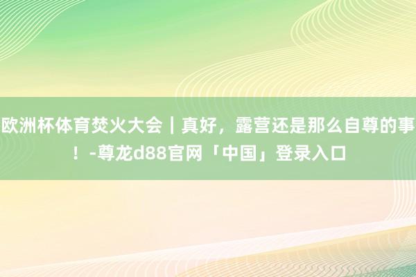 欧洲杯体育焚火大会｜真好，露营还是那么自尊的事！-尊龙d88官网「中国」登录入口