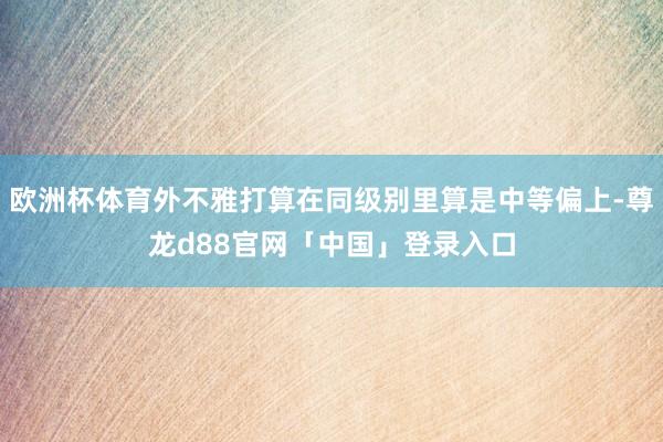 欧洲杯体育外不雅打算在同级别里算是中等偏上-尊龙d88官网「中国」登录入口
