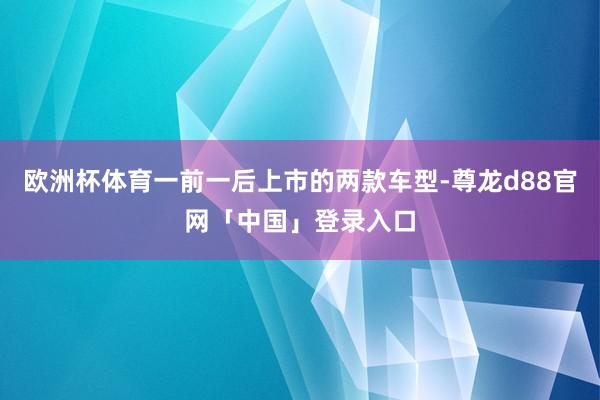 欧洲杯体育一前一后上市的两款车型-尊龙d88官网「中国」登录入口