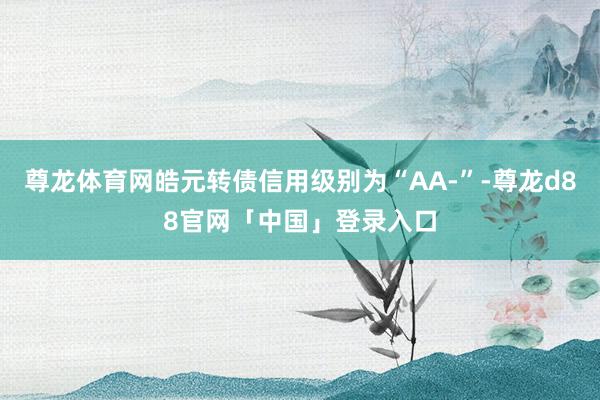 尊龙体育网皓元转债信用级别为“AA-”-尊龙d88官网「中国」登录入口