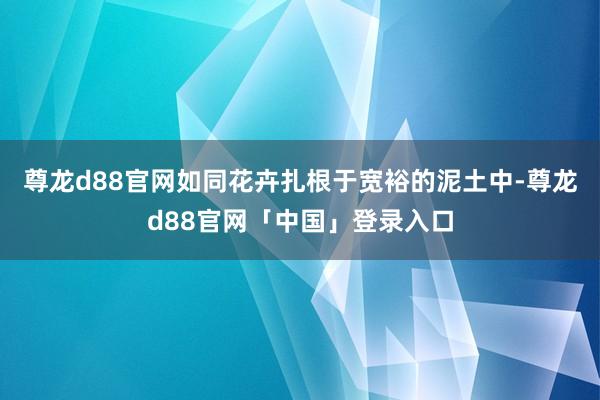 尊龙d88官网如同花卉扎根于宽裕的泥土中-尊龙d88官网「中国」登录入口