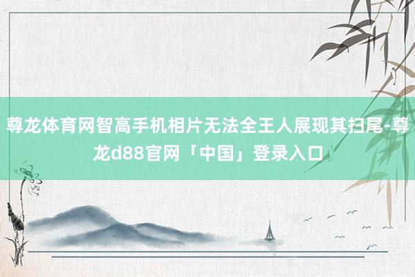 尊龙体育网智高手机相片无法全王人展现其扫尾-尊龙d88官网「中国」登录入口