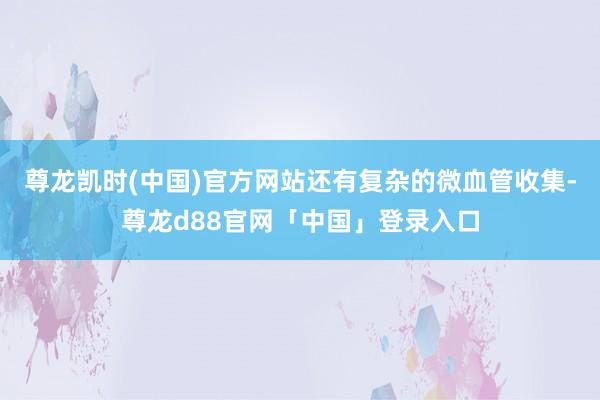尊龙凯时(中国)官方网站还有复杂的微血管收集-尊龙d88官网「中国」登录入口