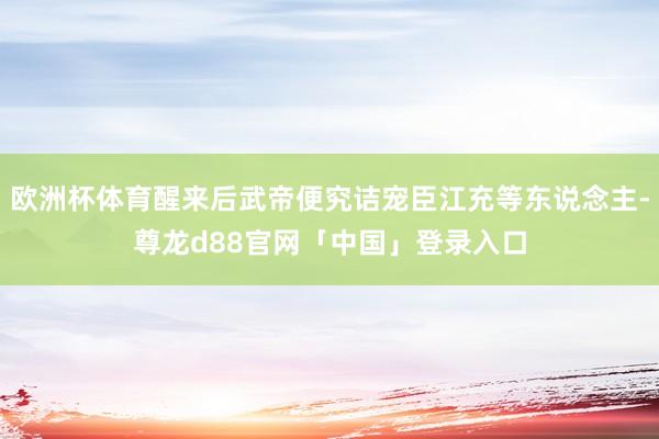 欧洲杯体育醒来后武帝便究诘宠臣江充等东说念主-尊龙d88官网「中国」登录入口